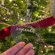 Décoration de Noël transparente La Famille s'agrandit
