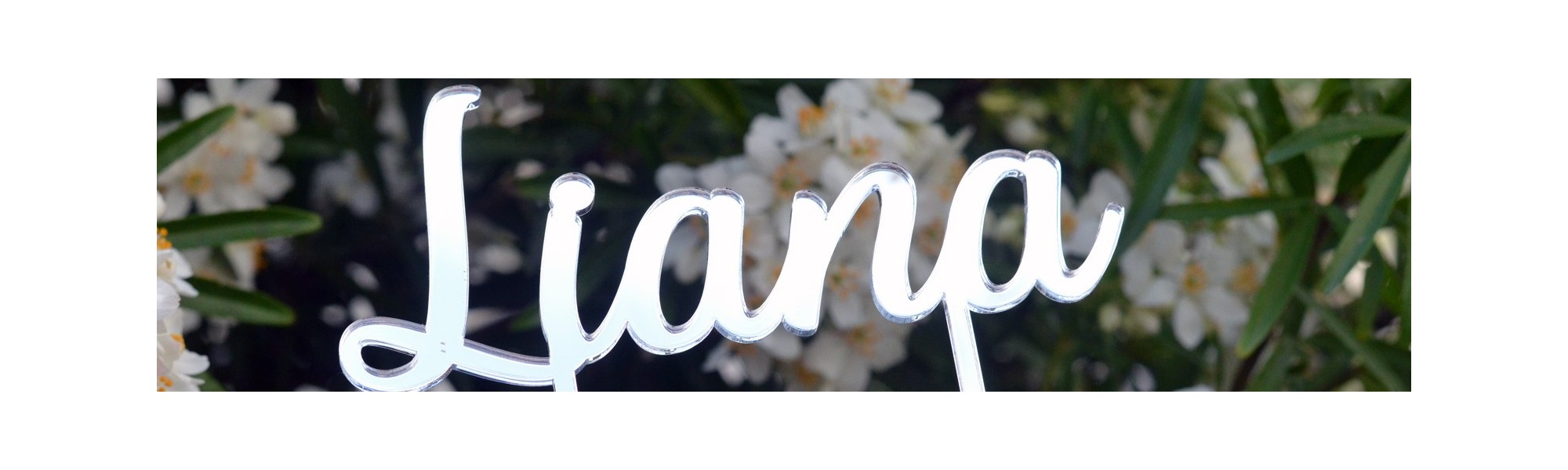 Cake Topper Baptême